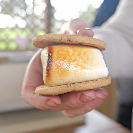 Bonfire Night S’mores